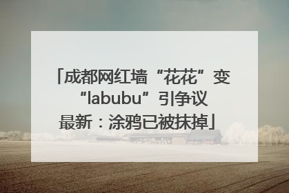 成都网红墙“花花”变“labubu”引争议 最新：涂鸦已被抹掉
