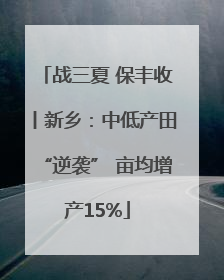 战三夏 保丰收丨新乡：中低产田“逆袭” 亩均增产15%