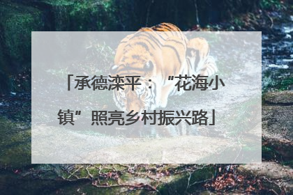 承德滦平：“花海小镇”照亮乡村振兴路