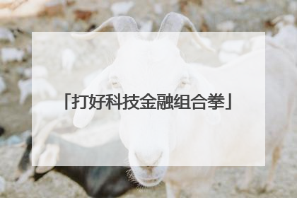 打好科技金融组合拳