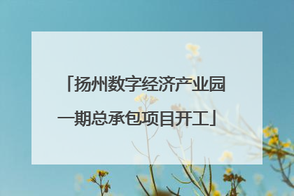 扬州数字经济产业园一期总承包项目开工