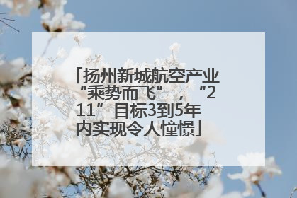 扬州新城航空产业“乘势而飞”，“211”目标3到5年内实现令人憧憬