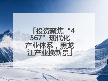 投资聚焦“4567”现代化产业体系，黑龙江产业换新景