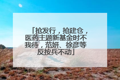 抢发行，抢建仓，医药主题新基金时不我待，范妍、徐彦等反按兵不动