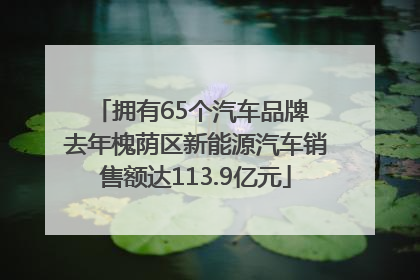 拥有65个汽车品牌 去年槐荫区新能源汽车销售额达113.9亿元