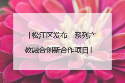 松江区发布一系列产教融合创新合作项目