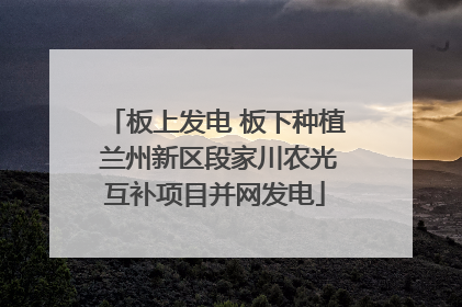 板上发电 板下种植 兰州新区段家川农光互补项目并网发电