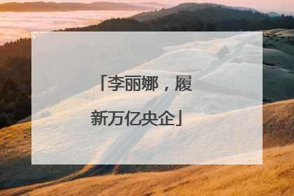 李丽娜，履新万亿央企