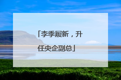 李季履新，升任央企副总