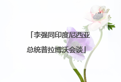 李强同印度尼西亚总统普拉博沃会谈