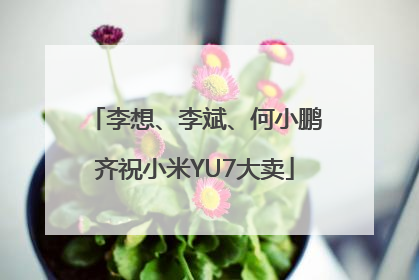 李想、李斌、何小鹏齐祝小米YU7大卖