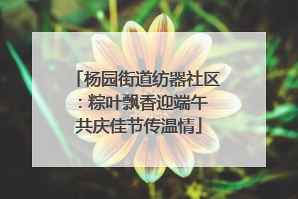 杨园街道纺器社区：粽叶飘香迎端午 共庆佳节传温情
