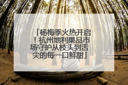 杨梅季火热开启！杭州地利果品市场守护从枝头到舌尖的每一口鲜甜