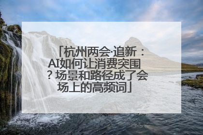 杭州两会·追新：AI如何让消费突围？场景和路径成了会场上的高频词
