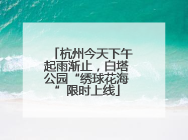 杭州今天下午起雨渐止，白塔公园“绣球花海”限时上线
