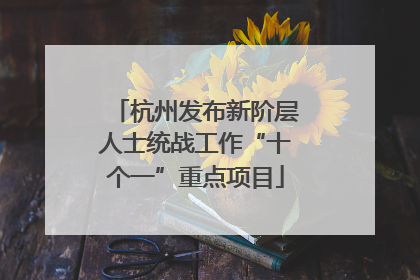 杭州发布新阶层人士统战工作“十个一”重点项目