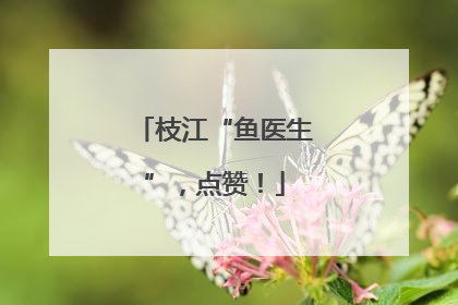 枝江“鱼医生”，点赞！