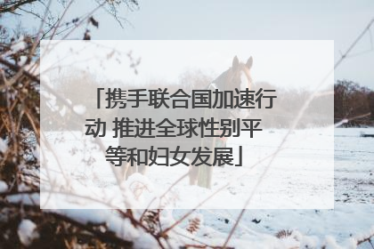 携手联合国加速行动 推进全球性别平等和妇女发展