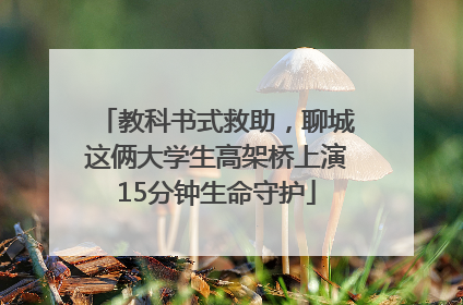 教科书式救助，聊城这俩大学生高架桥上演15分钟生命守护