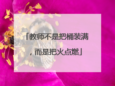 教师不是把桶装满，而是把火点燃