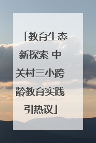 教育生态新探索 中关村三小跨龄教育实践引热议