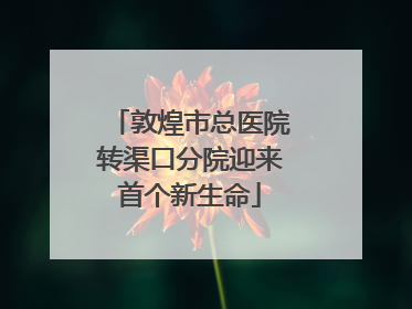 敦煌市总医院转渠口分院迎来首个新生命
