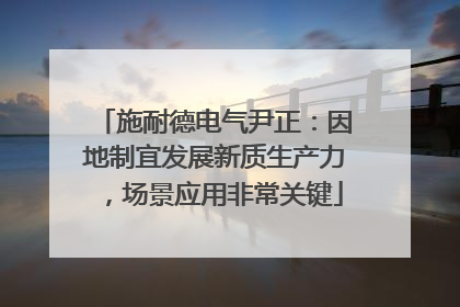 施耐德电气尹正：因地制宜发展新质生产力，场景应用非常关键