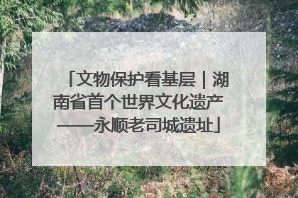 文物保护看基层｜湖南省首个世界文化遗产——永顺老司城遗址