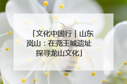 文化中国行｜山东岚山：在尧王城遗址探寻龙山文化