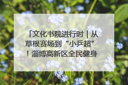 文化书院进行时｜从草根赛场到“小乒超”！淄博高新区全民健身赛打出“职业范儿”
