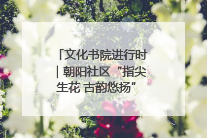 文化书院进行时｜朝阳社区“指尖生花 古韵悠扬”公益课堂开课了