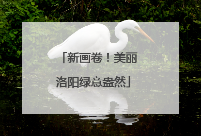 新画卷！美丽洛阳绿意盎然
