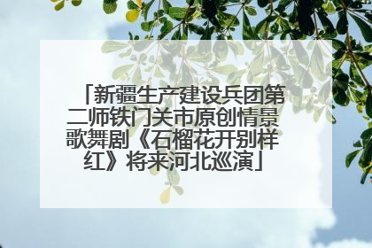 新疆生产建设兵团第二师铁门关市原创情景歌舞剧《石榴花开别样红》将来河北巡演
