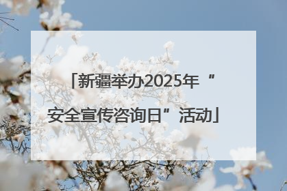 新疆举办2025年“安全宣传咨询日”活动