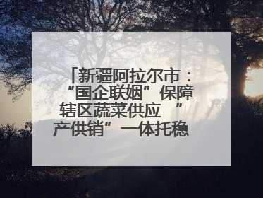 新疆阿拉尔市：“国企联姻”保障辖区蔬菜供应 “产供销”一体托稳市民菜篮子