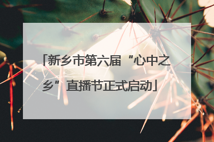 新乡市第六届“心中之乡”直播节正式启动