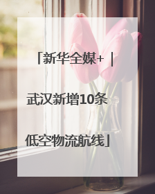 新华全媒+｜武汉新增10条低空物流航线