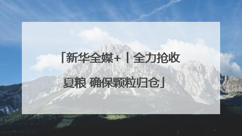 新华全媒+丨全力抢收夏粮 确保颗粒归仓