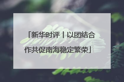 新华时评丨以团结合作共促南海稳定繁荣