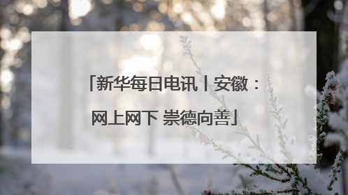 新华每日电讯丨安徽：网上网下 崇德向善