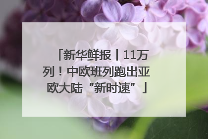 新华鲜报丨11万列！中欧班列跑出亚欧大陆“新时速”