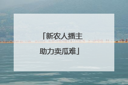新农人播主 助力卖瓜难
