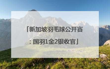 新加坡羽毛球公开赛：国羽1金2银收官