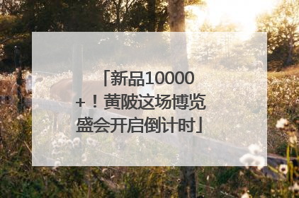 新品10000+！黄陂这场博览盛会开启倒计时