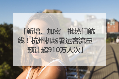 新增、加密一批热门航线！杭州机场暑运客流量预计超910万人次