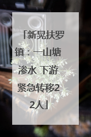 新晃扶罗镇：一山塘渗水 下游紧急转移22人