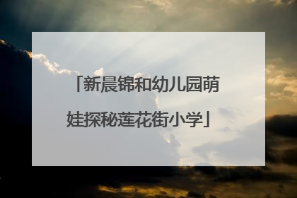 新晨锦和幼儿园萌娃探秘莲花街小学
