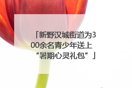 新野汉城街道为300余名青少年送上“暑期心灵礼包”