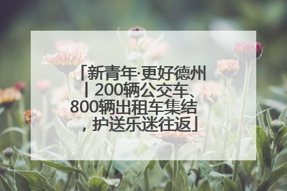 新青年·更好德州丨200辆公交车、800辆出租车集结，护送乐迷往返