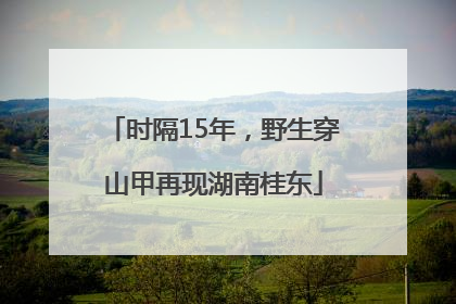 时隔15年，野生穿山甲再现湖南桂东